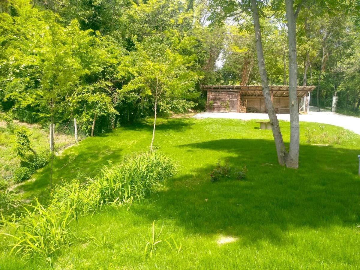 America Nei Boschi B&B 布拉 外观 照片